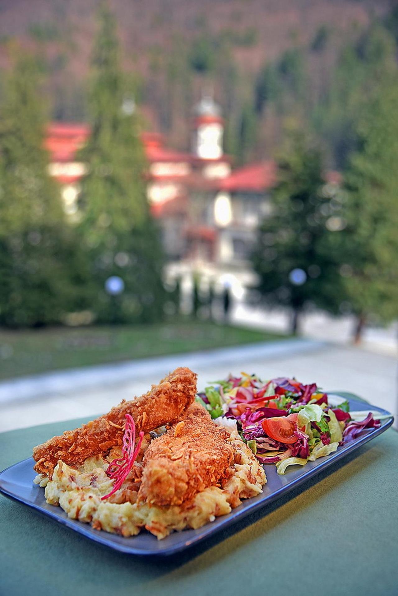 Hotel Moldavia Szlanikfürdő Kültér fotó